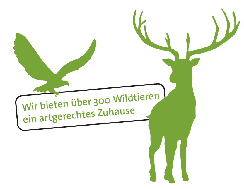 Illustration Störer für Artenschutz inklusive Greifvogel und Hirsch
