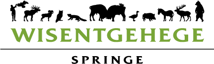 Wisentgehege Springe