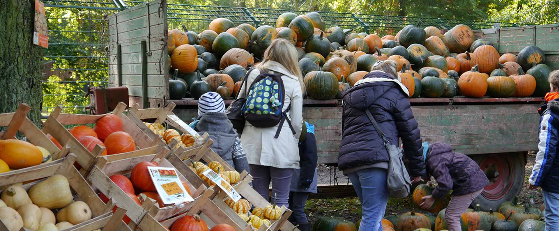 Herbstliches Treiben beim Kürbisfest im Wisentgehege