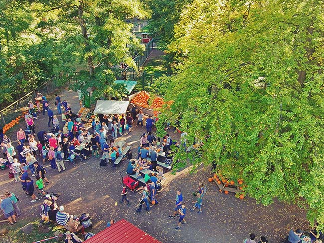 Drohnenaufnahme vom Kürbisfest im Wisentgehege Springe