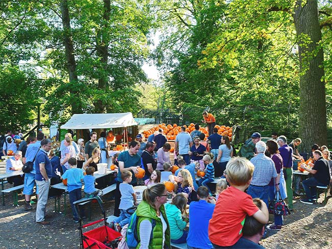 Voller Festplatz beim Kürbisfest im Wisentgehege Springe