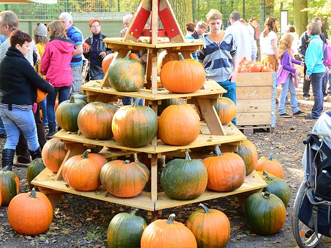 Kürbisturm mit vielen verschiedenen Sorten
