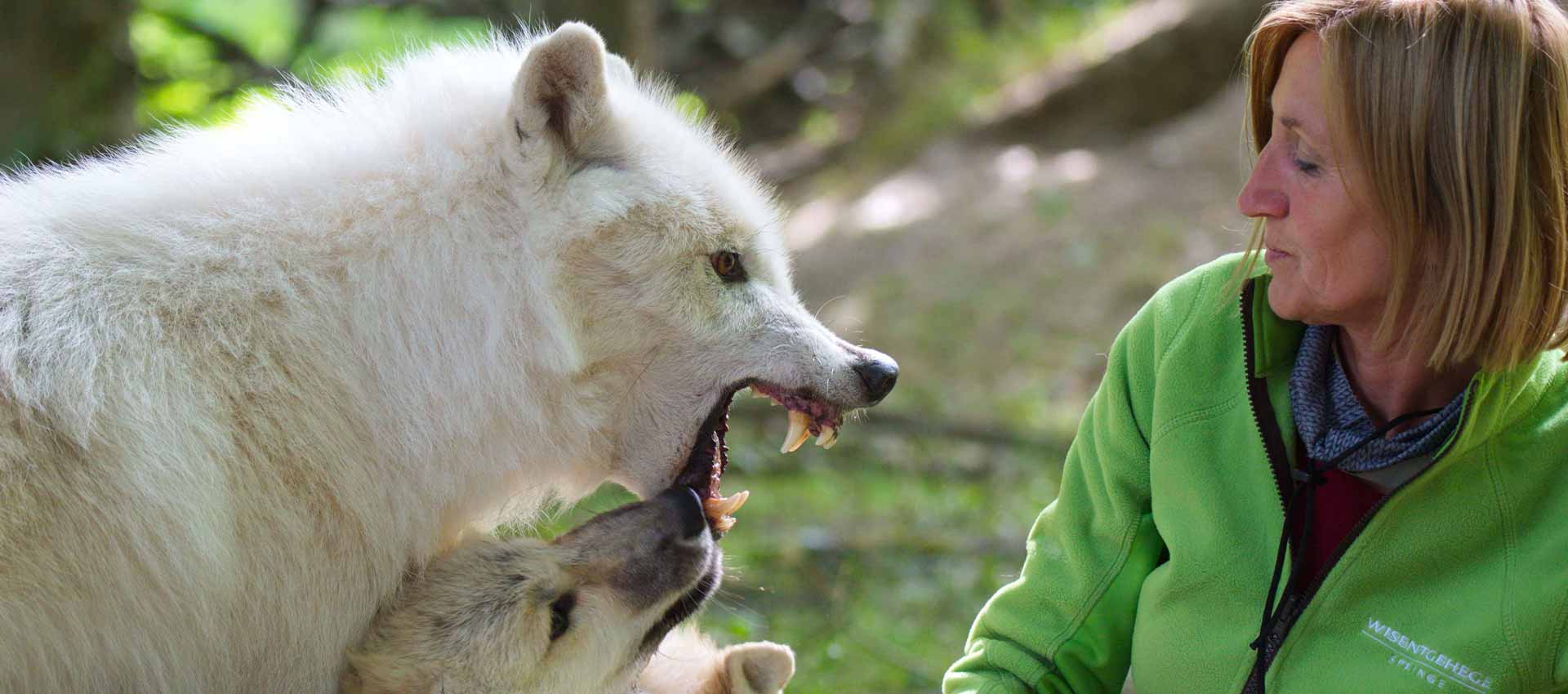 Birgit Vogelsang mit den Polarwölfen