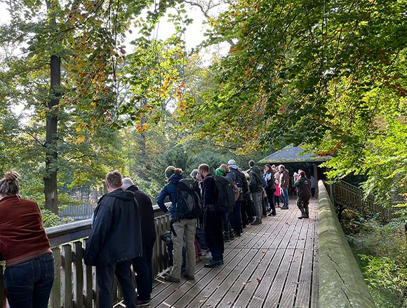 Eindrücke von der Fütterung auf der Brücke der Wolf-Bär-Anlage