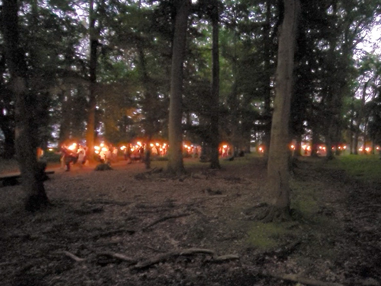 Fackelwanderung durchs Wisentgehege: Das Highlight des Mittsommernachtsfest