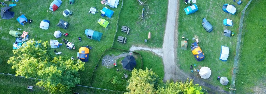Mittsommernachtsfest im Wisentgehege: Zelten zwischen Wisenten, Wisen und wilder Natur